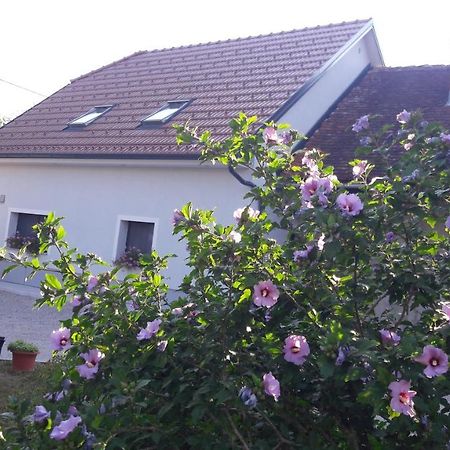 Apartma Sterle Stari Trg pri Lozu Kültér fotó